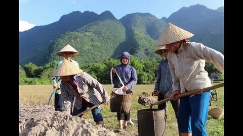 Tiền đạo Brazil lập công, áp sát vị trí số 1 của Tiến Linh_Ý tưởng khởi nghiệp